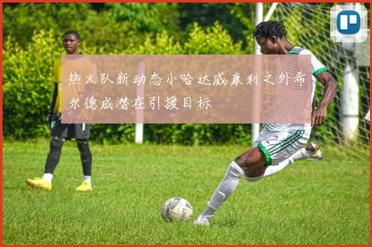 热火队新动态小哈达威康利之外希尔德成潜在引援目标
